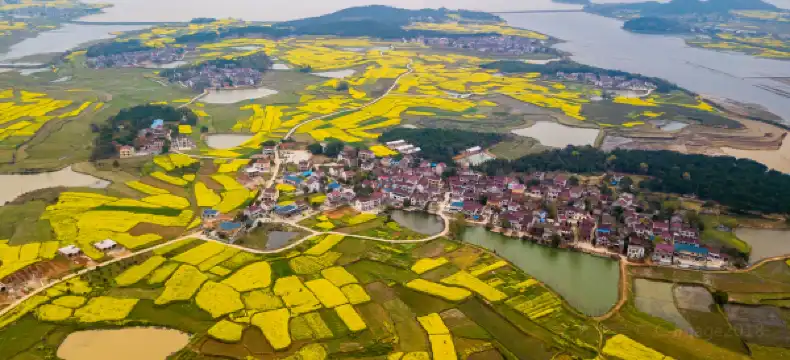 Hoteles en Wangjiang