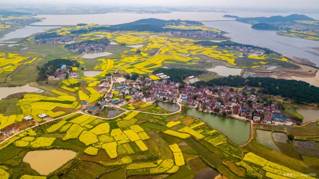 Wangjiang