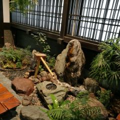 Sapporo Kanihonke Sakae Central 여행 사진