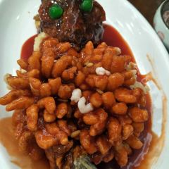 Song helou User Photo