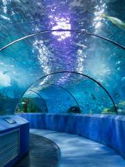 Nanjing Underwater World
