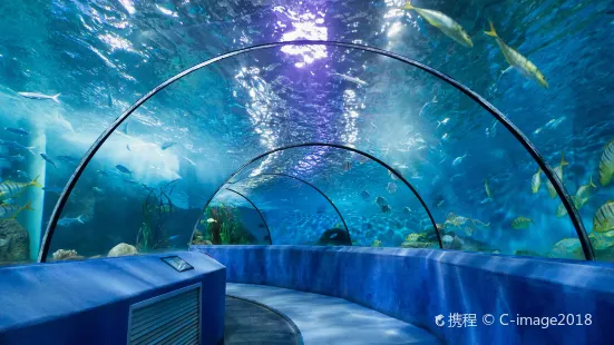 Nanjing Underwater World