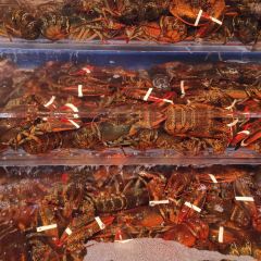 Red Lobster Okinawa Chatan 여행 사진