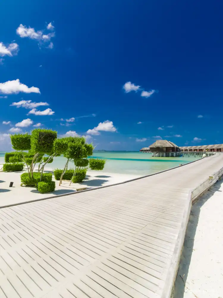 Hotels near Dhidhdhoofinolhu