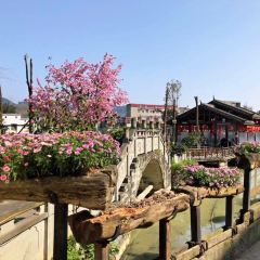 鲜龙井火锅公园(南山店) User Photo