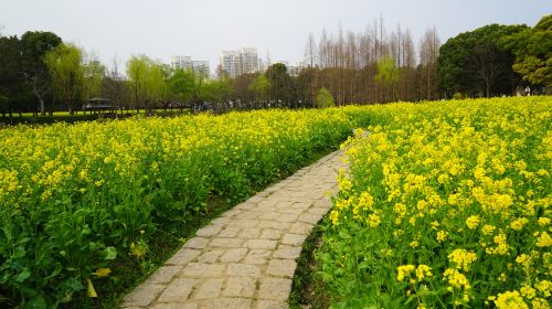 스지공원/세기공원