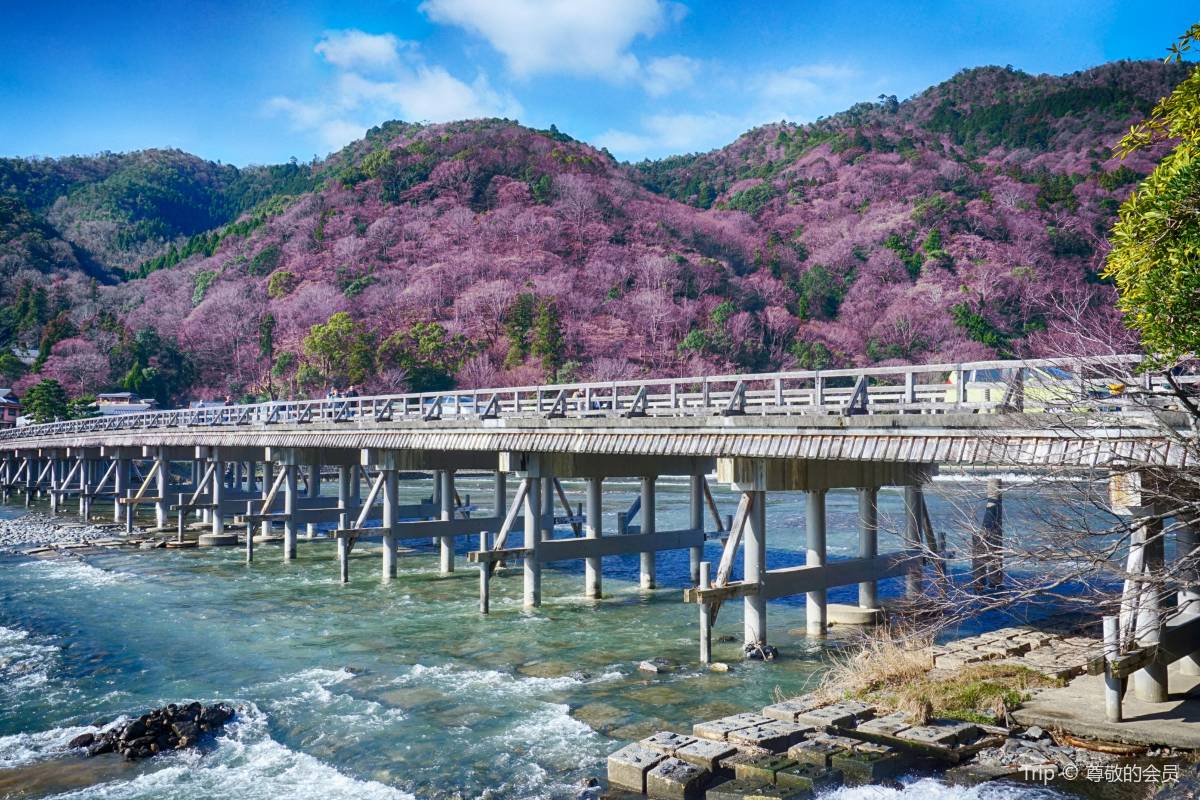 Arashiyama