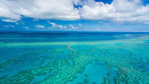 Great Barrier Reef travel destination