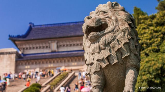 9人團丨南京總統府+中山陵景區+音樂台+美齡宮+明孝陵夫子廟