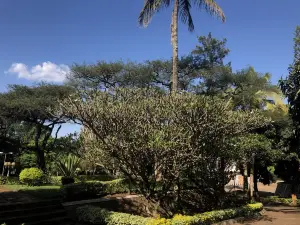 Institute Of National Museums Of Rwanda