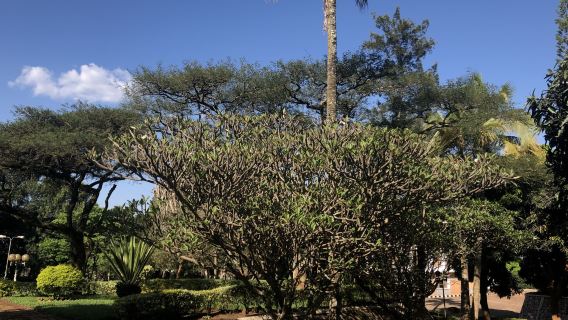 Institute Of National Museums Of Rwanda