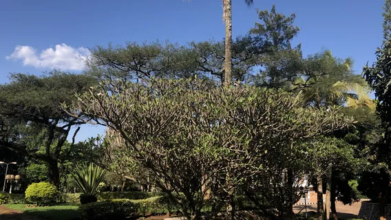 Institute Of National Museums Of Rwanda