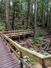 Quarry Rock Trail