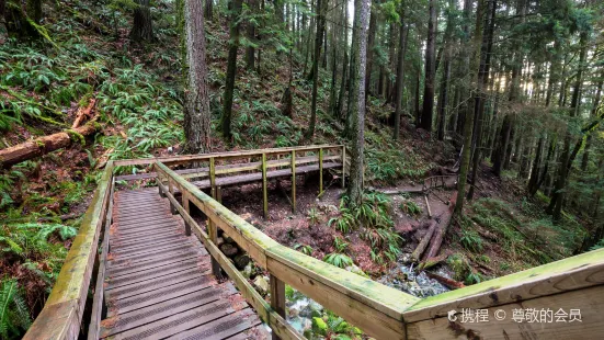 Quarry Rock Trail