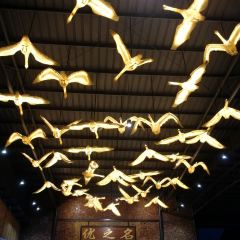 YOU ZHI MING User Photo