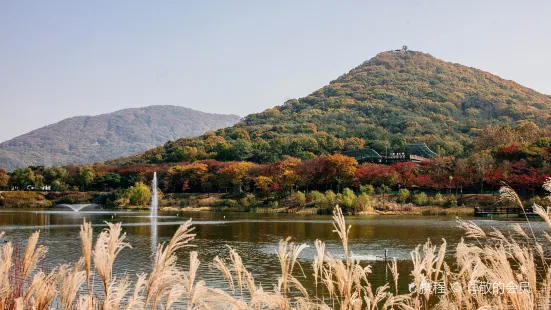 인천대공원