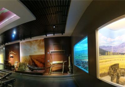 Музей риса Пэн Цзинь