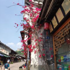 Shangxinliangfen (luodaizhen) User Photo