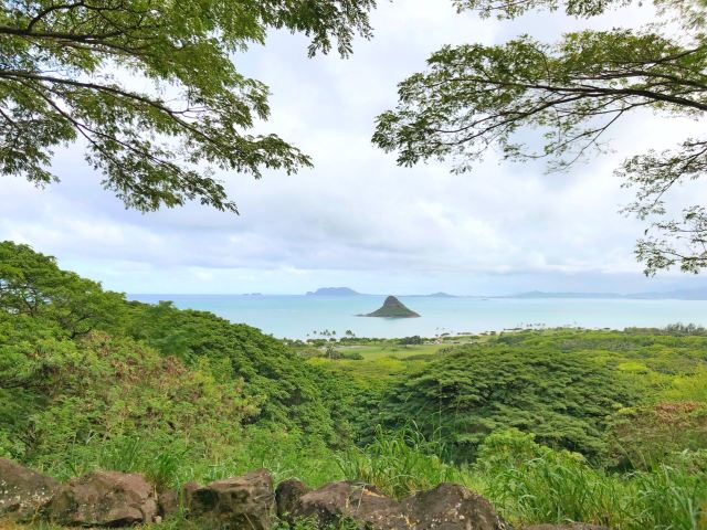 Mokolii
