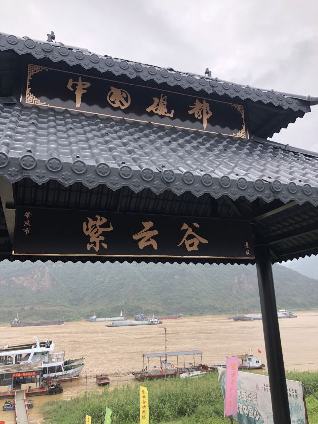 Ziyungu