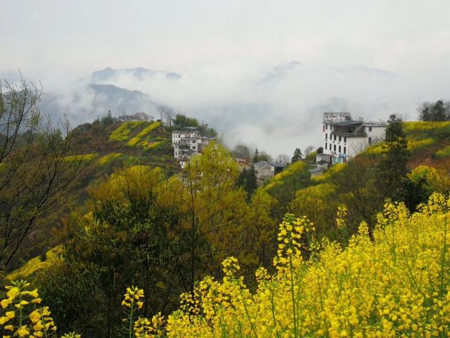 스탄촌