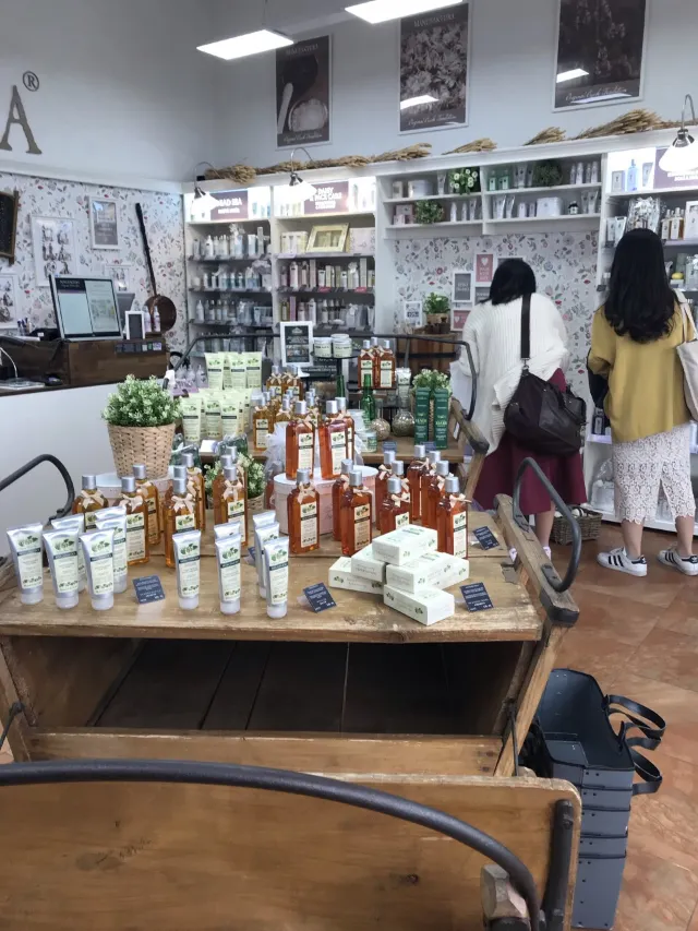 菠丹妮(Ungelt店)