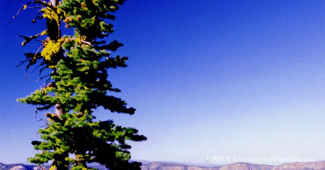 Contra Costa County