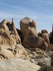 Skull Rock Trail