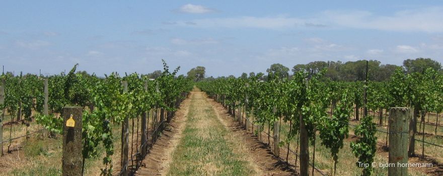 Sparkling Pointe Vineyards & Winery
