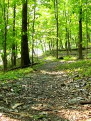 Boquet River Nature Preserve