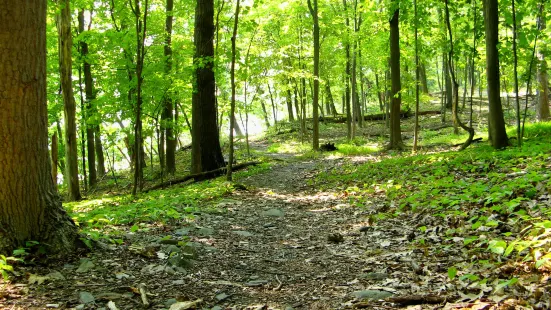 Boquet River Nature Preserve