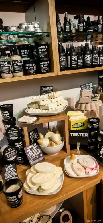 鄰近海牙的酒店