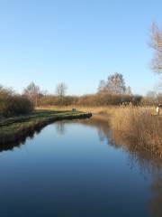 National Trust - Wicken Fen Nature Reserve