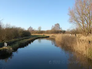 Wicken Fen National Nature Reserve