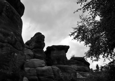 National Trust - Brimham Rocks