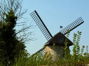 National Trust - Bembridge Windmill