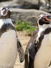 Scarborough SEA LIFE Sanctuary