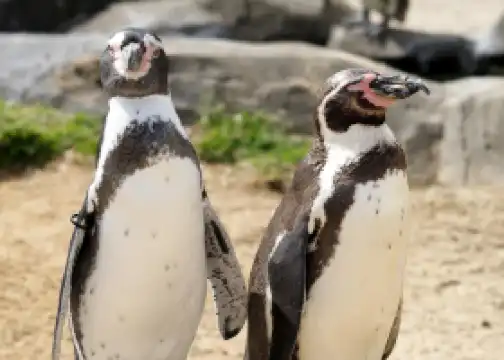 SEA LIFE Scarborough