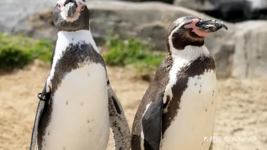 Scarborough SEA LIFE Sanctuary