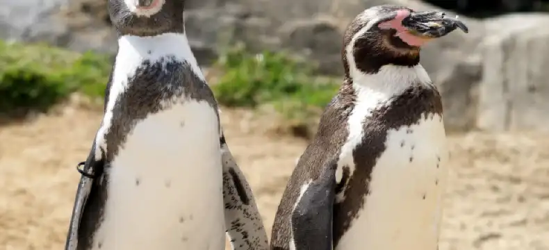 Hotels in Scarborough