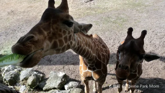 Jacksonville Zoo & Gardens