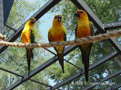 Tracy Aviary at Liberty Park