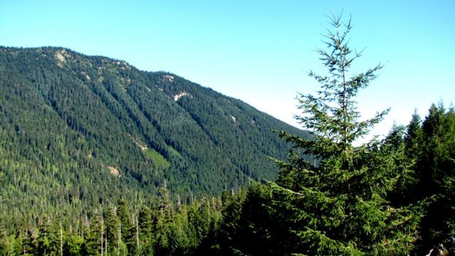 America the Beautiful Park Fantasy Playground