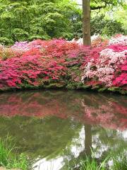 Isabella Plantation