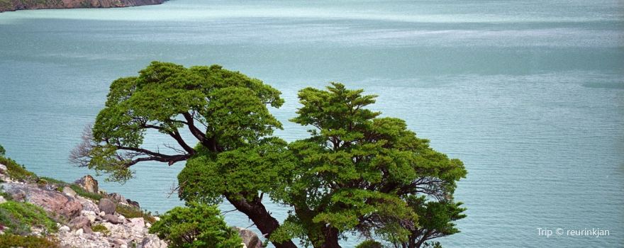Evergreen Lake