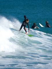 Lyall Bay