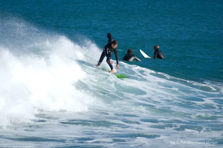 Lyall Bay