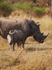 Khama Rhino Sanctuary