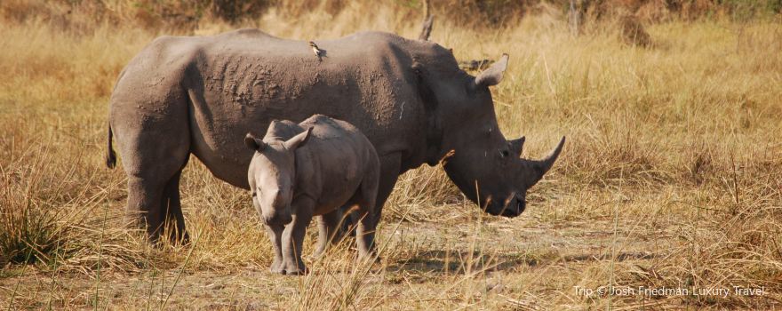 Khama Rhino Sanctuary