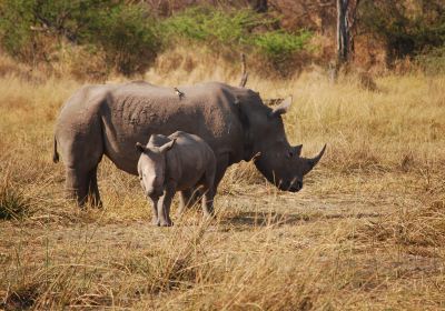 Khama Rhino Sanctuary